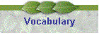 Vocabulary